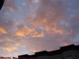 Ameboid Sunrise, Symphony Area