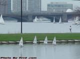 Sailboats Big and Small, Charles River, Esplanade