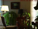 Still Life of Chairs, Evening, Groveland, NY