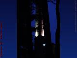 Eerie Dawn Illumination, Watertown Arsenal