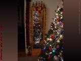 Christmas Decorations, Lynn, Massachusetts