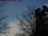 Chilly Winter Afternoon Sky, Watertown, Massachusetts