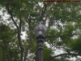 Unlit Lamp Study Under Cloudy Skies, Boston Common