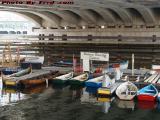 Boston Rowing Center, Fort Point Channel @ Congress Street
