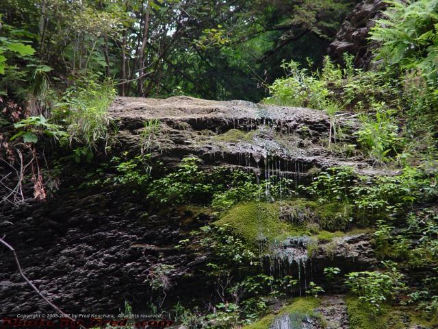 Mossy Falls, Detail, House Gully, Groveland, NY