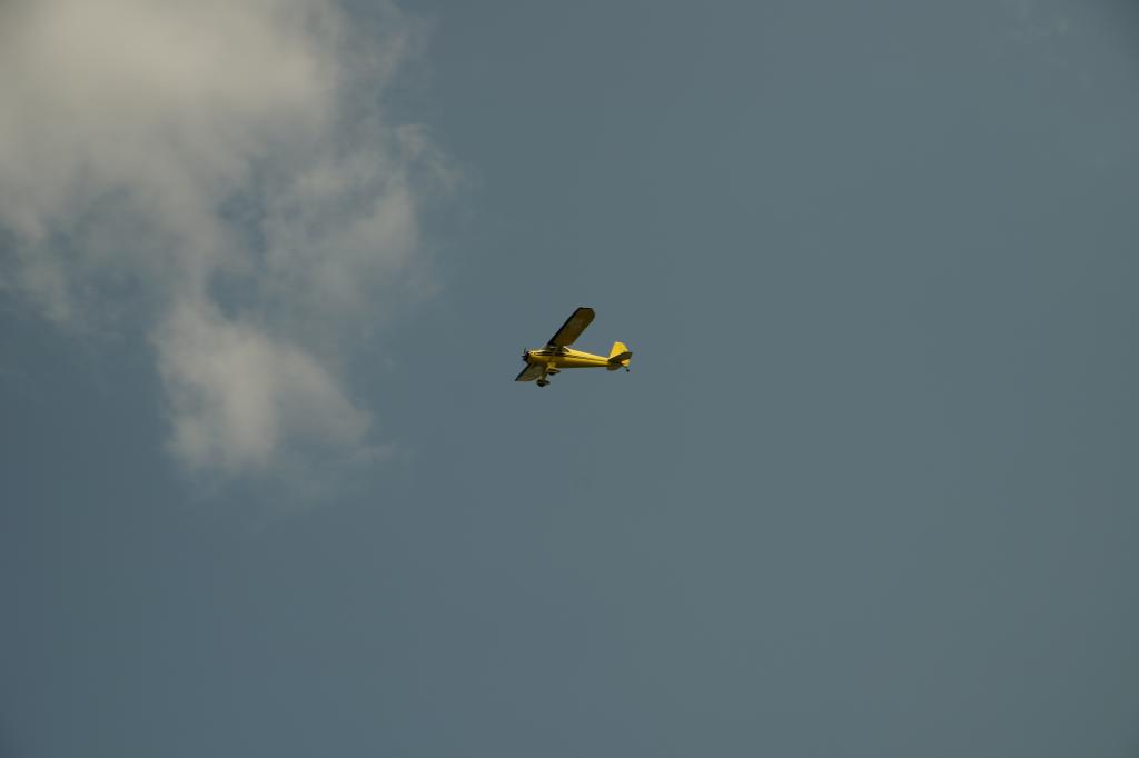 Carl Perry waves wings